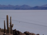 Salar de Uyuni
Salar, Uyuni, Vista, Incahuasi, desde, isla