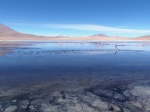 Altiplano boliviano
Altiplano, Salar, Uyuni, Creo, Honda, boliviano, primera, laguna, visitamos, nuestro, viaje, desde, pero, puedo, asegurar