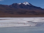 La laguna Hedionda
Hedionda, Hacia, Bolivia, Altiplano, laguna, recorriendo