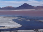 Laguna Colorada
Laguna, Colorada, Evidente, porqué, llama, así