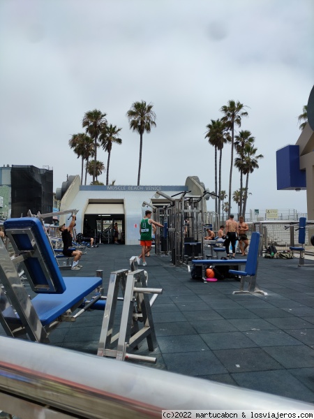 Muscle beach
Muscle beach
