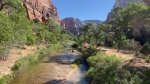 DÍA 14: ZION NP