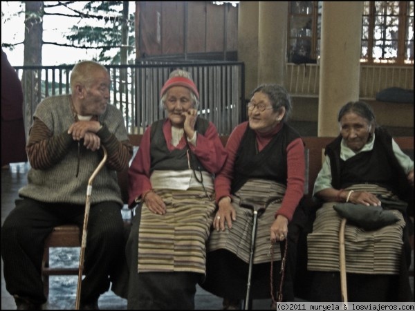 Pasando el rato
Grupo de Tibetanos descansando tras los rezos en McLeod Ganj, Dharamshala
