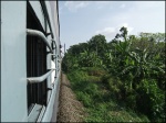 Vistas desde el tren
Vistas, Paisaje, Kerala, desde, tren, algo, llaman, país, dios