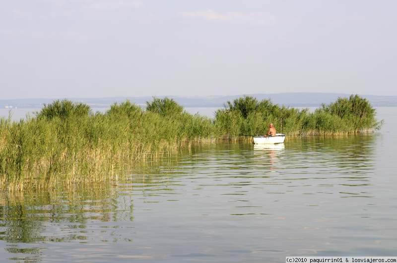 Forum of Balaton: Lago Balaton