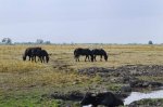 Parque Nacional de Hortobagy