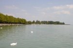 Vista Lago Balaton
Lago Balaton Hungria