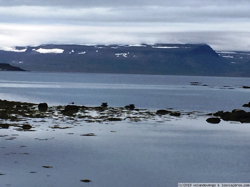 Día 11: 9/9 De drnagsnes a Patreksfjordum. 405km-6h15’ - 15 días maravillosos por Islandia (2)