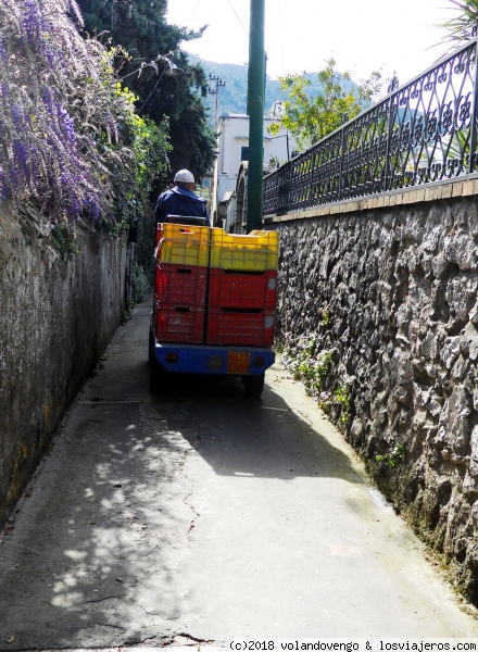 transportes en Capri
En las sendas peatonales de la Isla de Capri, el transporte se realiza con motocarros
