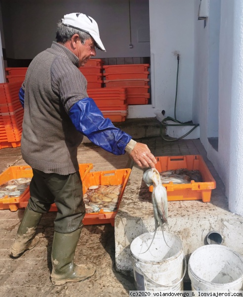 La pesca del día
En la playa de Salema, por la mañana las barcas traen lo pescado. Este día eran pulpos que distribuían en el edificio que funciona como pequeña lonja
