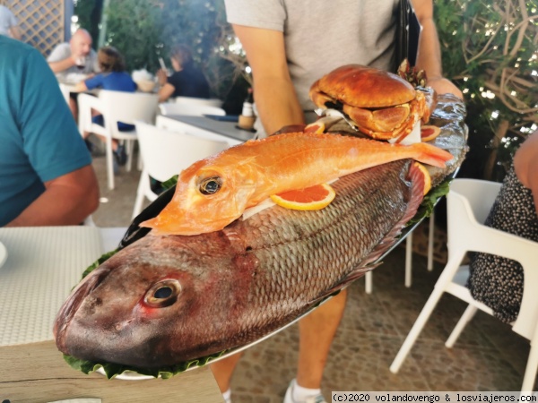 Pesca del día
En el restaurante Lourenco, suelen presentarte una bandeja con la pesca del día, para que elijas lo que quieres comer.
