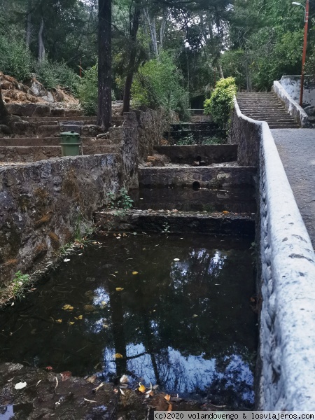 Parque de Fonte dos Amores. Caldas de Monchique
Parque que asciende entre balsas de agua, fuentes y vegetación en Caldas de Monchique
