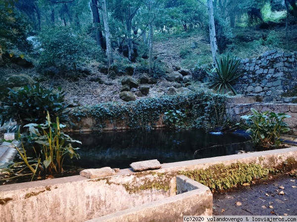 Parque de Fonte dos Amores. Caldas de Monchique
Piscina del parque de Caldas de Monchique,  con aguas que se recorren de arroyos que vienen de la Sierra.
