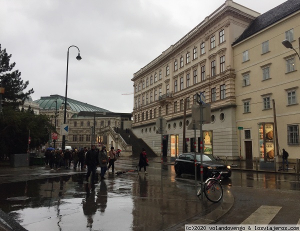 Museo Albertina, al fondo la Opera. Viena
El Museo Albertina es un maravilloso museo que muestra pinturas del XIX hasta ahora, una colección impresionante. En la primera planta en las salas del Palacio abiertas se exponen algunos grabados de la gran colección que tienen. Se complementa con exposiciones puntuales. Hay que visitarlo.
