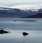 Focas en el fiordo Skötufjordur
Fiordo, focas