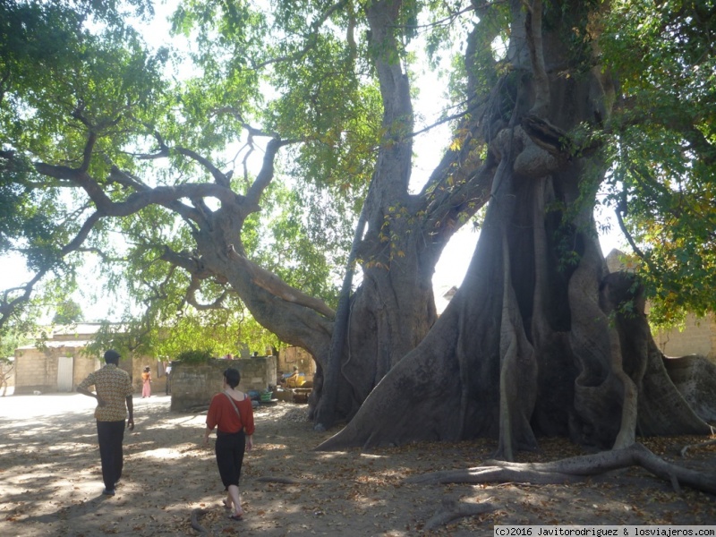 Viajar a Senegal - Foro África del Oeste