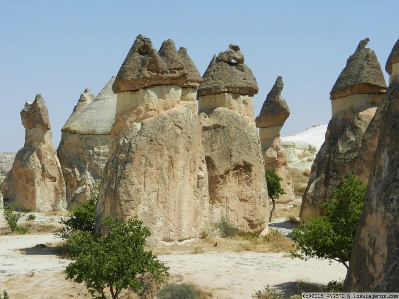 Foro de Este De Turquía: Formaciones dentro del Valle de Pasabag (Capadocia)