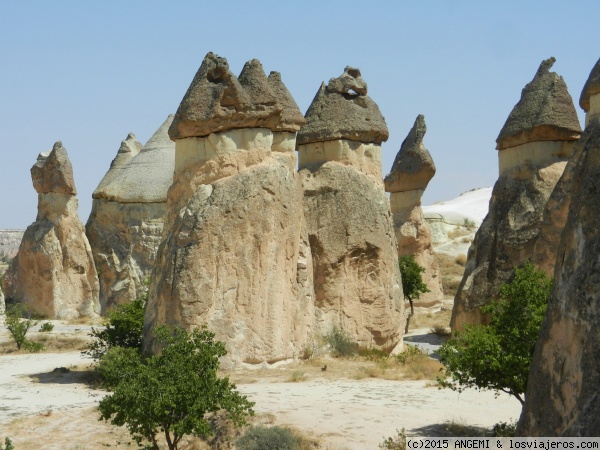 Formaciones dentro del Valle de Pasabag (Capadocia)
El valle de Pasabag contiene algunas de las chimeneas de hadas más llamativas en Capadocia, este estilo es único y son conocida por tener forma de hongo.
