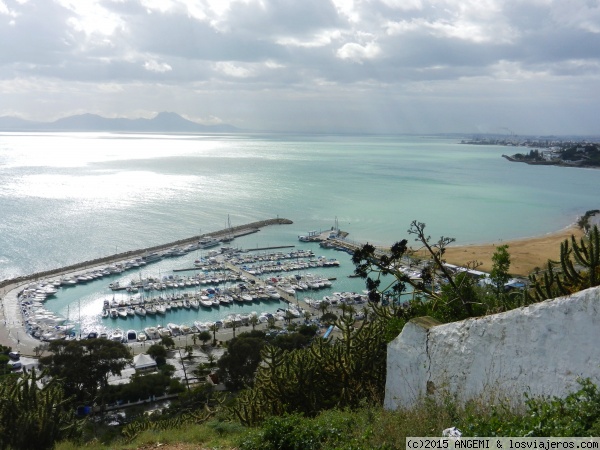 Sidi Bou Said, el balcón blanqui-azul sobre el Mediterráneo, Ciudad-Tunez (2)