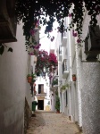 Una bonita calle de Mojácar
Almeria