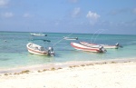 Playa Akumal  (Quintana Roo)