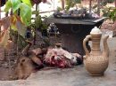 Ampliar Foto: Barbacoa con carne - Burkina 