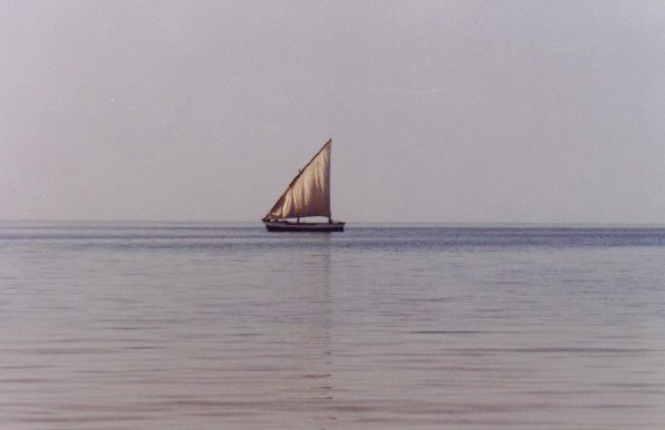 Argin Bank National Park - Barco de vela - Mauritania
Argin Bank National Park - Traditional ship - Mauritania