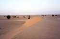 Ir a Foto: Desierto del Sahara en Benichab 
Go to Photo: Dunes after sunset in Benichab.
