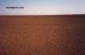 Ir a Foto: Paisajes del Sahara Mauritania 
Go to Photo: Desert Landscape in Mauritania