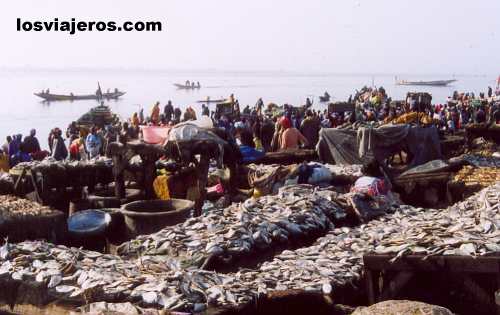 Pescadores - St. Louis - Senegal
Fishers in Ndar District - St Louis - Senegal