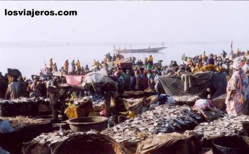 Fishers arriving on the morning to St Louis - Guet Ndar - St. Louis - Senegal
Pescadores descargando al amanecer - Guet Ndar - San Luis - Senegal