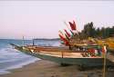 Fisher ships with flags - Nianing - Petite Cote - Senegal