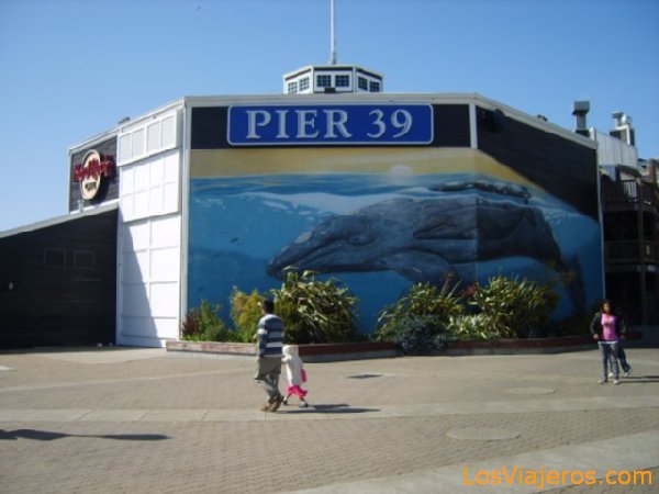 Pier 39 in San Francisco - USA
Pier 39 - San Francisco - USA