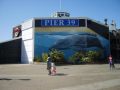 Ir a Foto: Pier 39 - San Francisco 
Go to Photo: Pier 39 in San Francisco