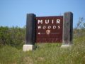 Muir Woods - USA