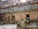 Go to big photo: Monkey in a Pyramid of Copan