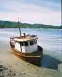 Ir a Foto: Barco varado - San Juan del Sur (Nicaragua) 
Go to Photo: Ship in the bay of San Juan del Sur (Nicaragua)