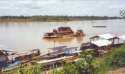 Ampliar Foto: Puerto en el Rio Madre de Dios - Afluente del Amazonas