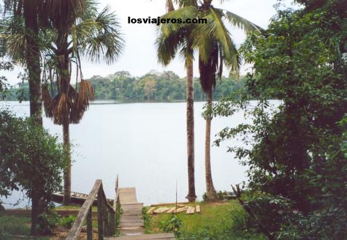 Embarcadero en la selva del Amazonas - Peru