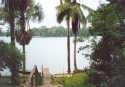 Ir a Foto: Embarcadero en la selva del Amazonas 
Go to Photo: Pier in the Amazon forest