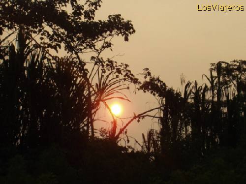 Precioso atardecer en la selva de Manu - Peru