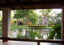 Animales y plantas en el Hotel Natura Park - Punta Cana - Dominicana Rep.