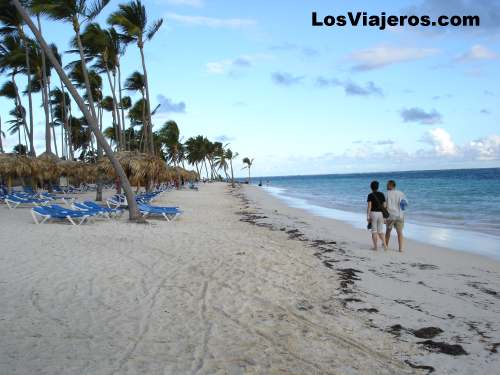 Playa de hotel - Punta Cana - Dominicana Rep.
Hotel beach- Punta Cana - Dominican Rep.