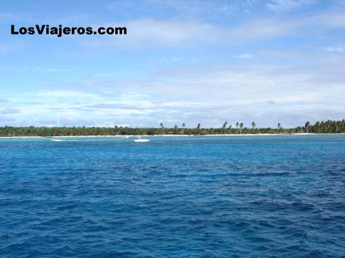 Cocoteros y playas - Punta Cana - Dominicana Rep.