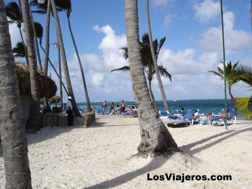 Cocoteros y tumbonas - Puntacana - Dominicana Rep.
Beach chairs and coconut Trees- Puntacana - Dominican Rep.