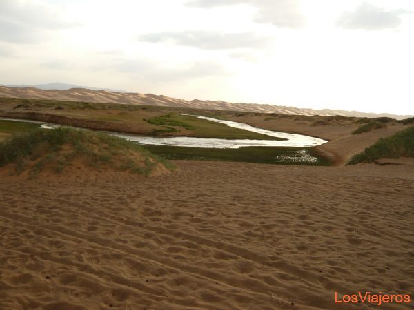 Oasis in Gobi desert - Mongolia
Oasis en el Gobi - Mongolia