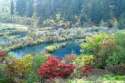 Jiuzhaigou Valley National Park - Sichuan- China