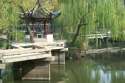 Suzhou Classical Gardens - China
Jardines del Funcionario Honrado - China