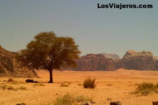 Paisaje del desierto  de Wadi Rum- Jordania