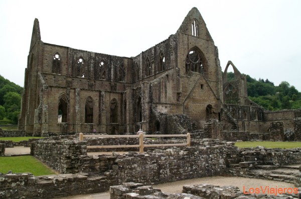Abadia de Tintern - Tintern Abbey - Catedral de St Davids - Gales ✈️ Foro Londres, Reino Unido e Irlanda